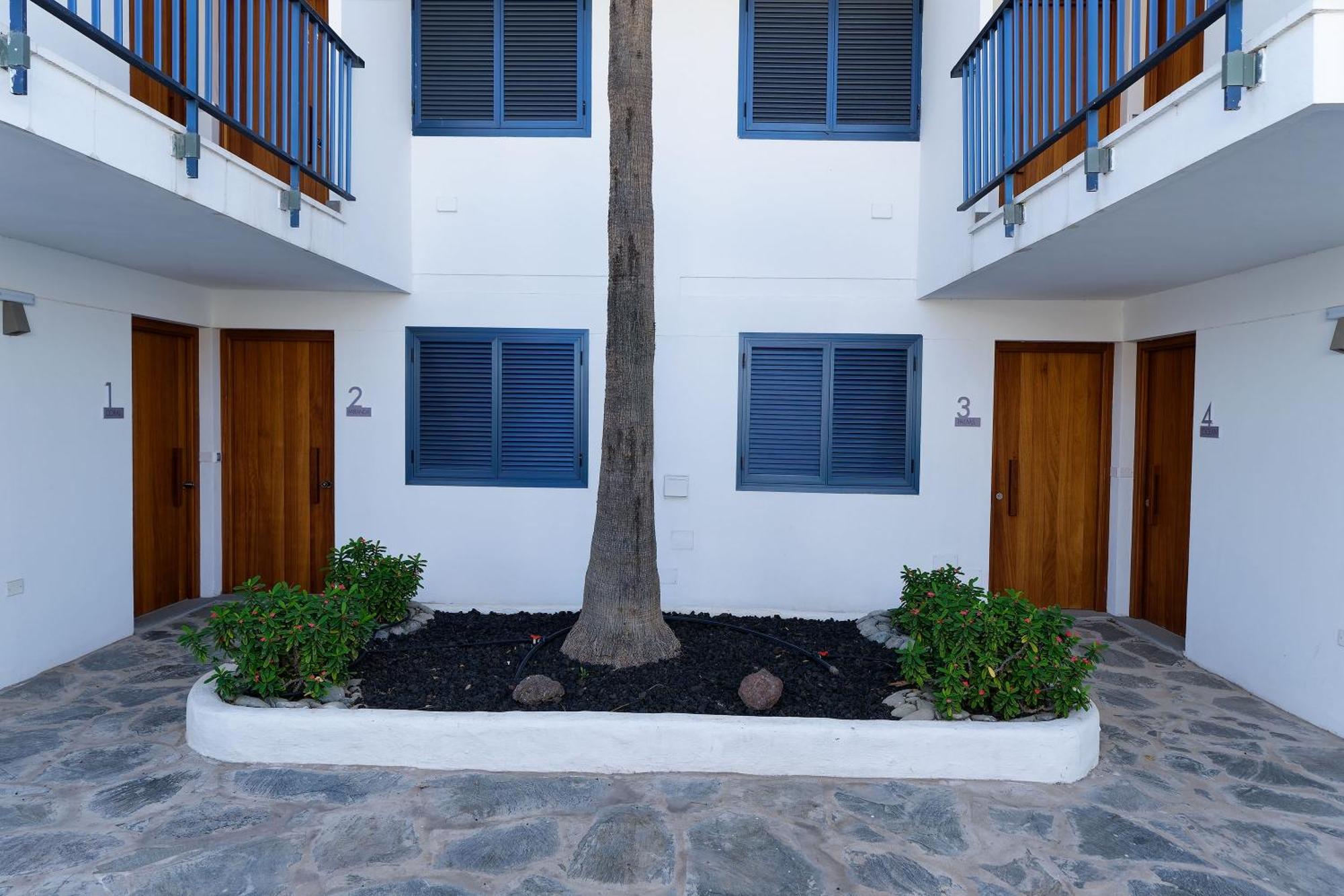דירות San Agustín Amapola Blue Sea - Recien Reformado, Frente Al Mar מראה חיצוני תמונה